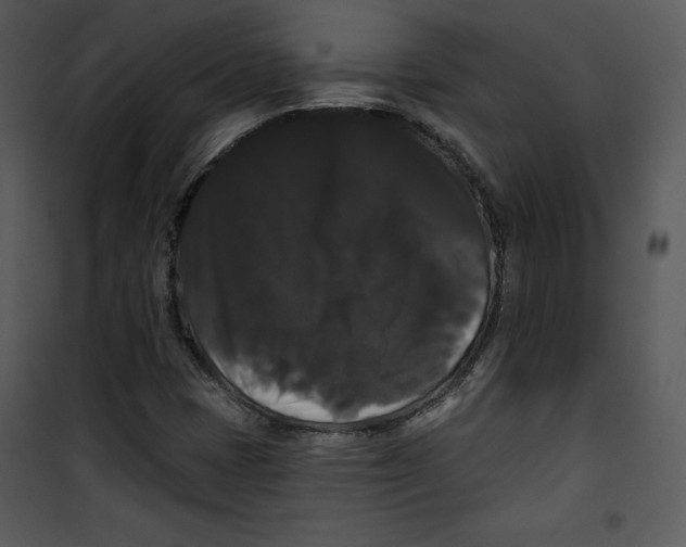 X0000100891401200807220940