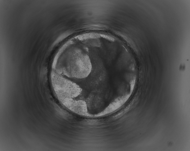 X0000100891402200807220940