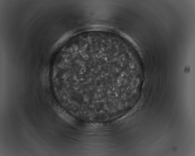 X0000100891403200807220940