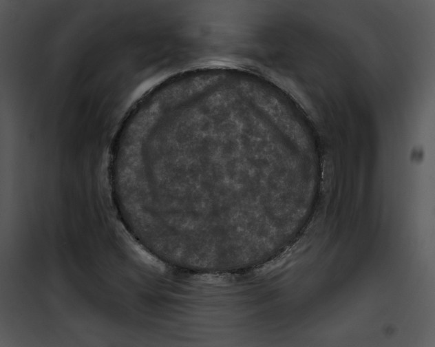 X0000100891404200807220940