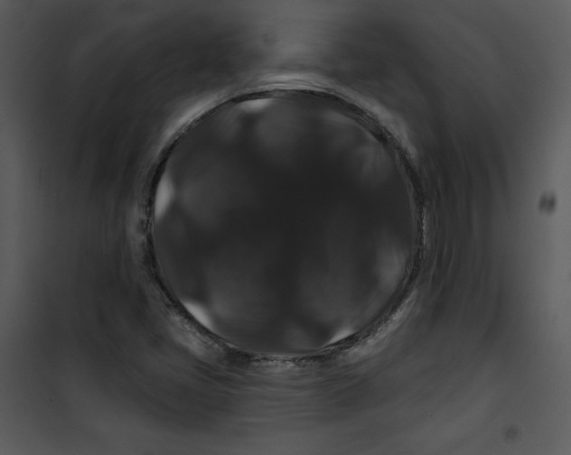 X0000100891405200807220940