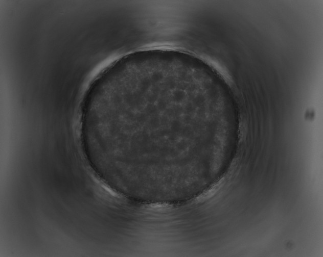 X0000100891406200807220940