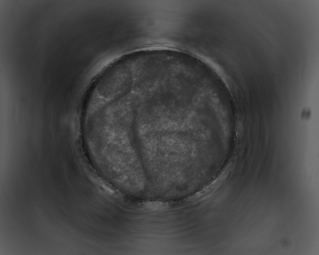 X0000100891407200807220940