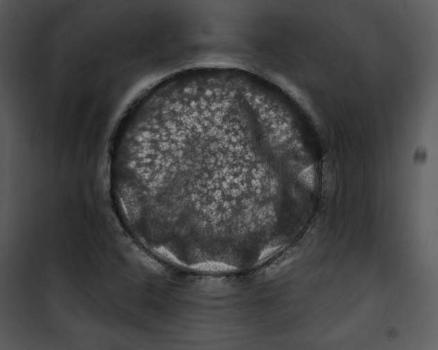 X0000100891408200807220940