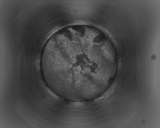 X0000100891409200807220940