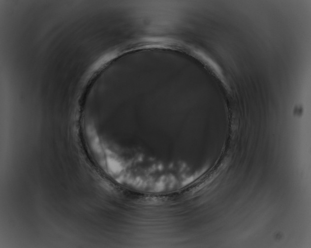 X0000100891411200807220940