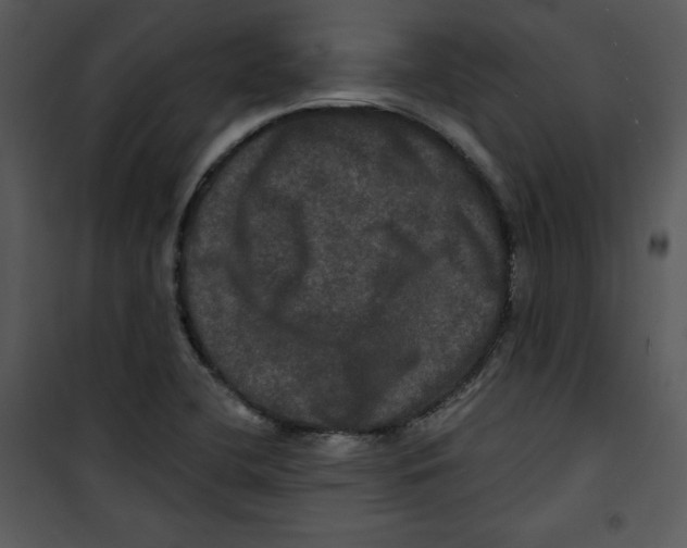 X0000100891412200807220940