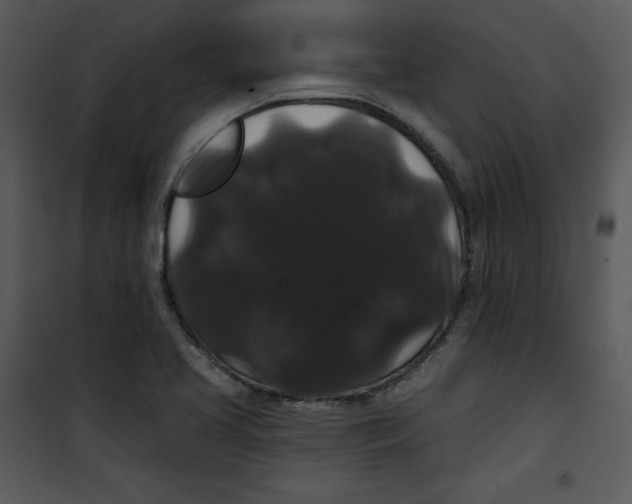 X0000100891413200807220940