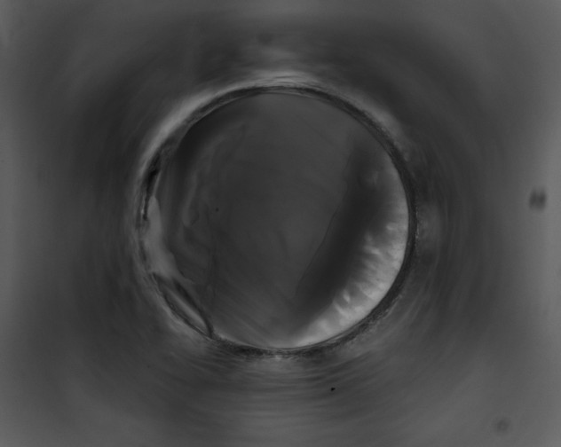 X0000100891414200807220940