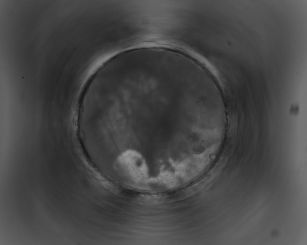 X0000100891415200807220940