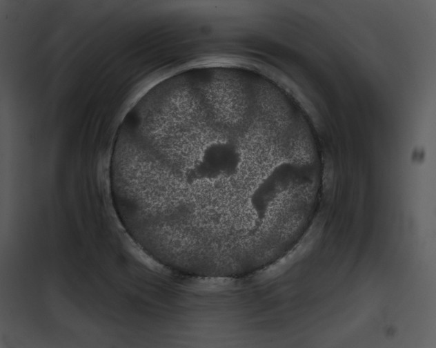 X0000100891417200807220940