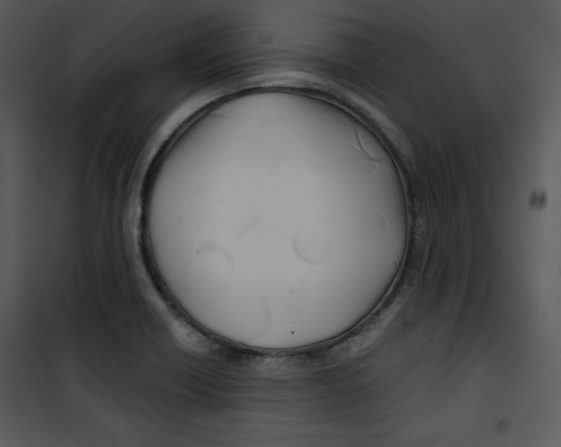 X0000100891418200807220940