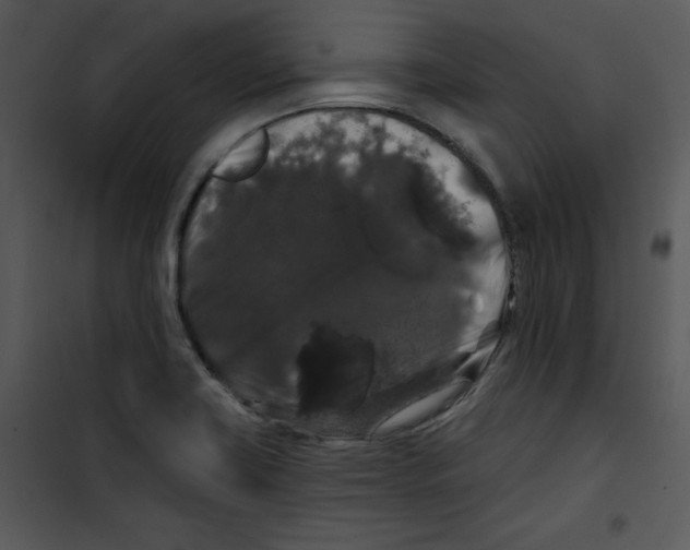 X0000100891419200807220940