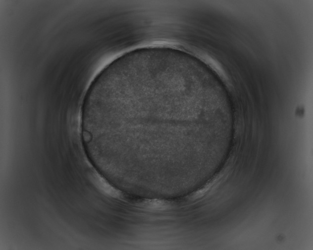 X0000100891420200807220940