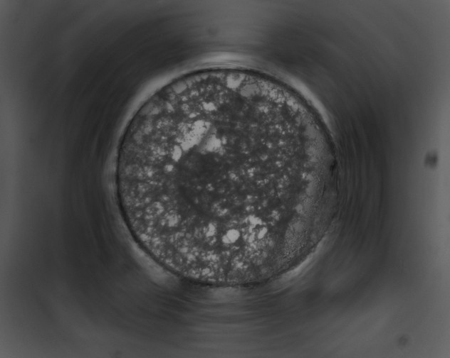 X0000100891421200807220940