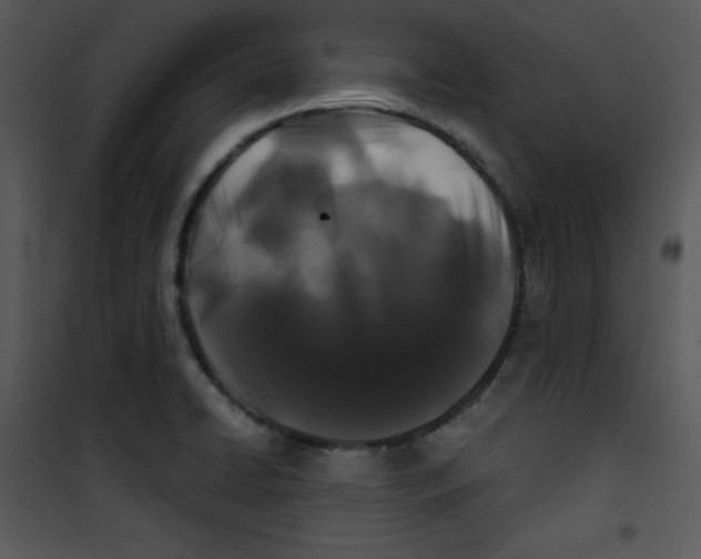 X0000100891422200807220940