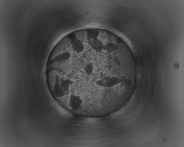 X0000100891423200807220940