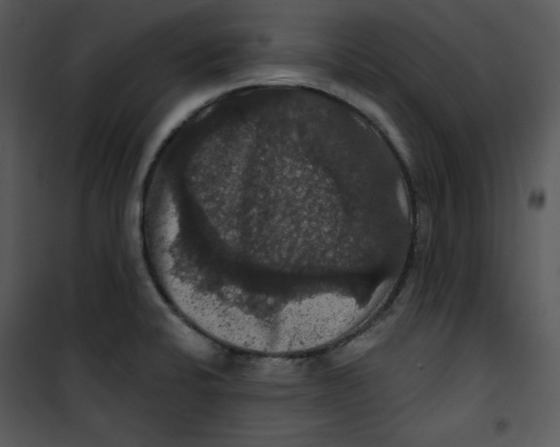 X0000100891424200807220940