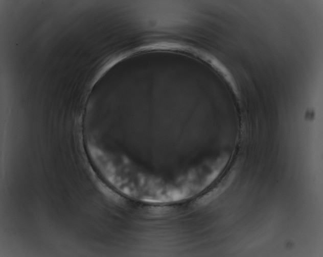 X0000100891425200807220940