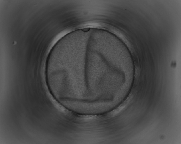 X0000100891426200807220940