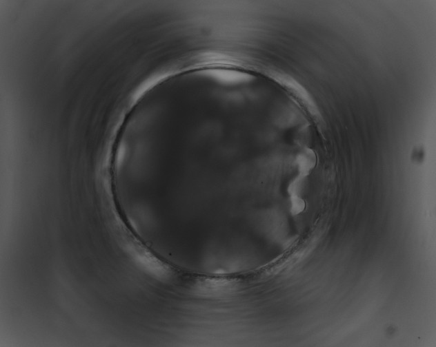 X0000100891427200807220940