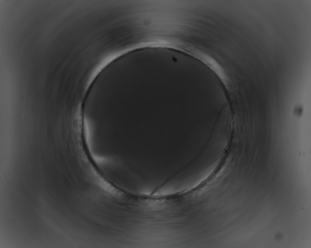 X0000100891428200807220940