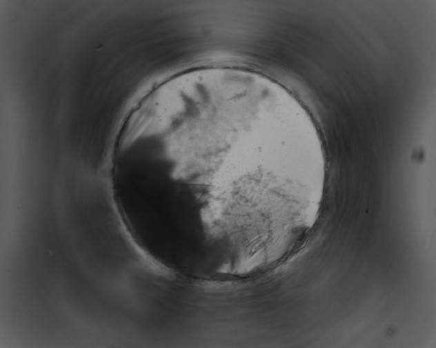 X0000100891429200807220940