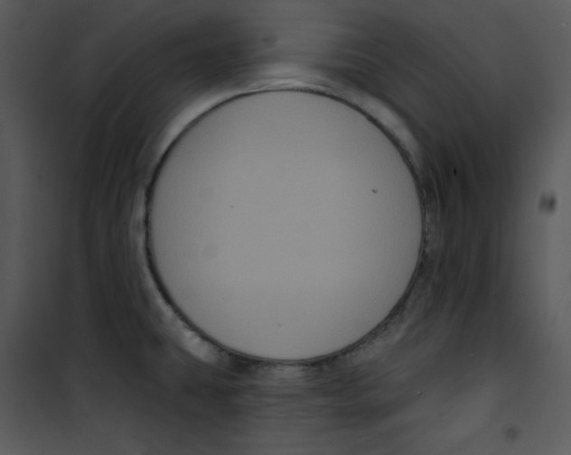 X0000100891431200807220941