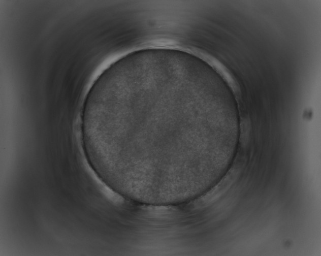 X0000100891432200807220941