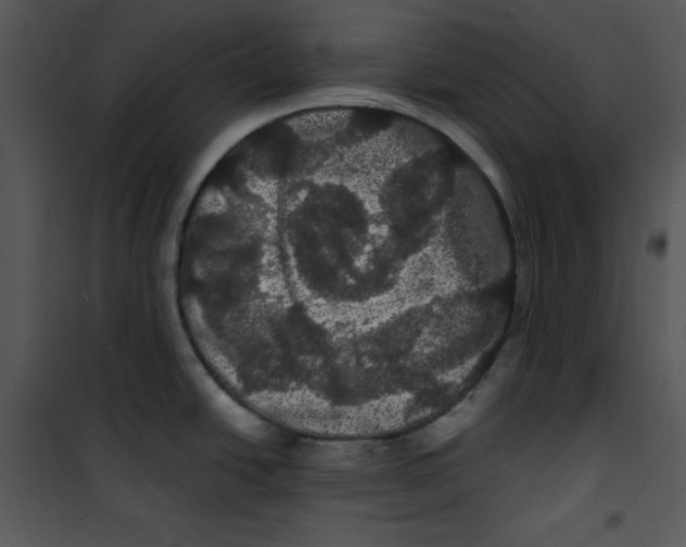 X0000100891438200807220941