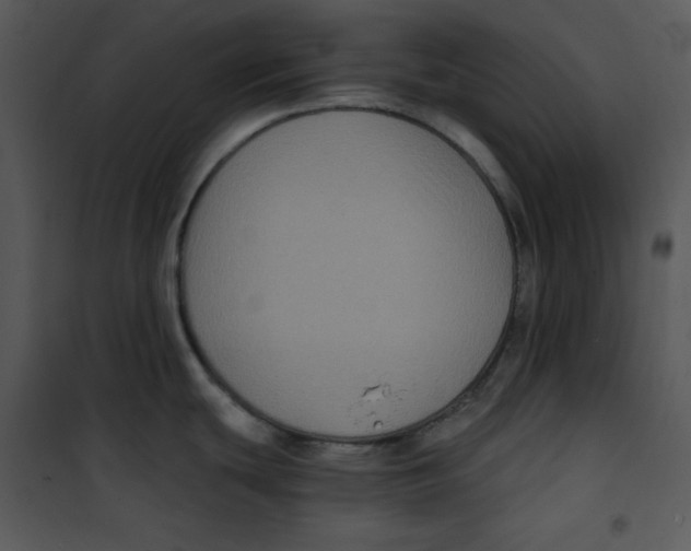 X0000100891439200807220941