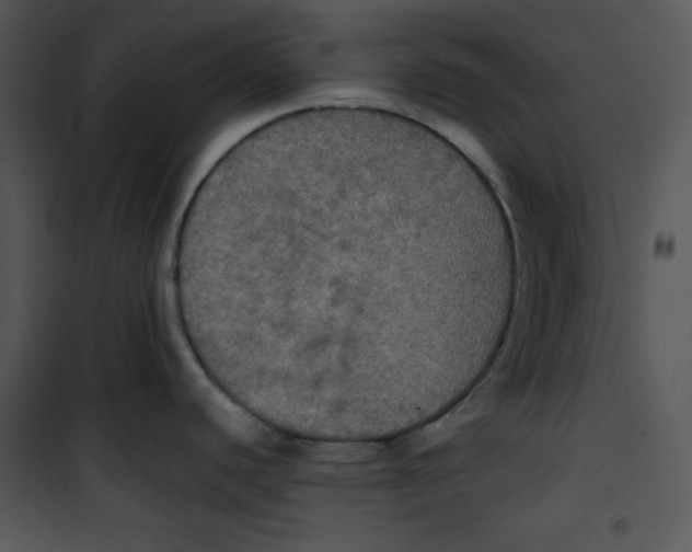 X0000100891440200807220941