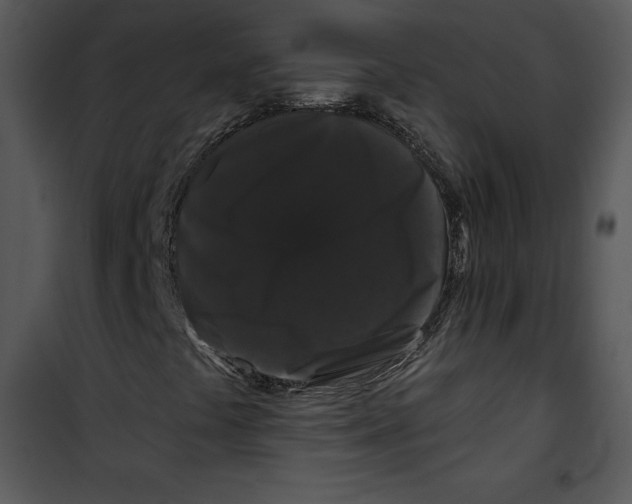 X0000100891441200807220940