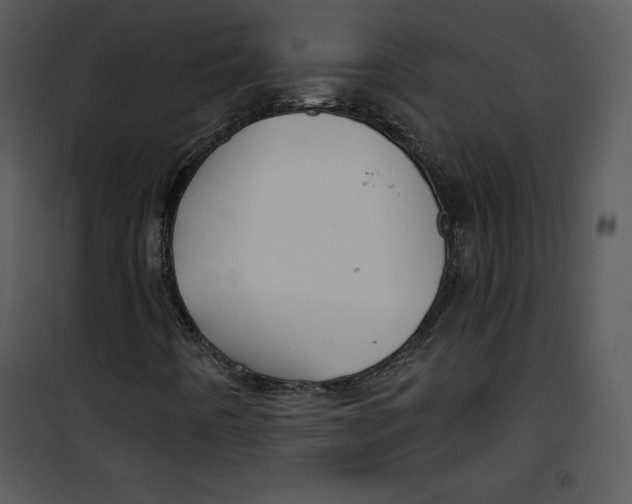 X0000100891442200807220940