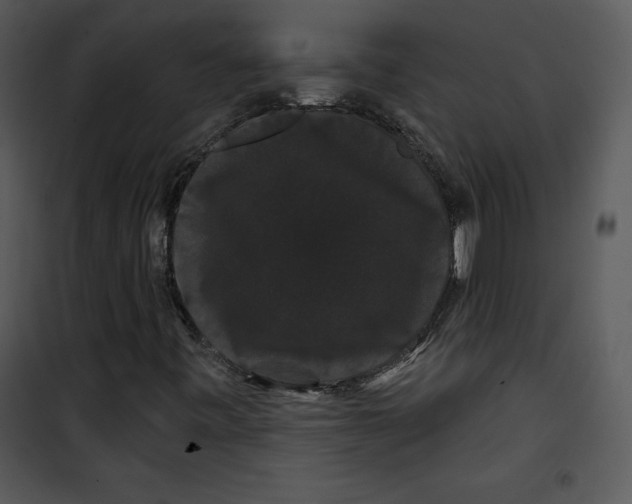 X0000100891443200807220940