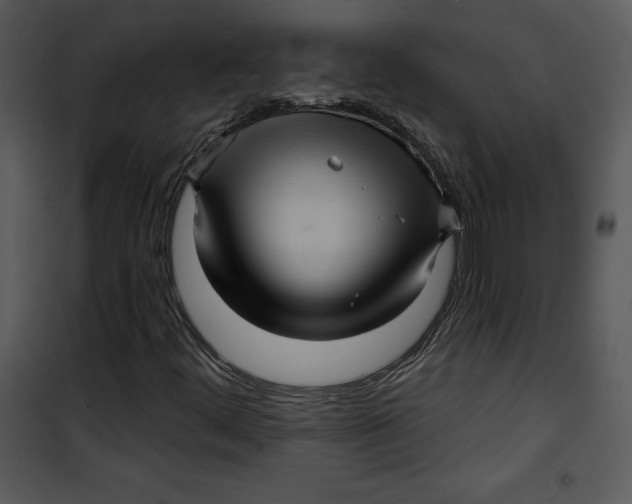 X0000100891444200807220940