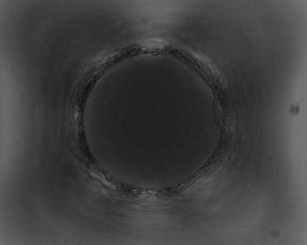 X0000100891445200807220940