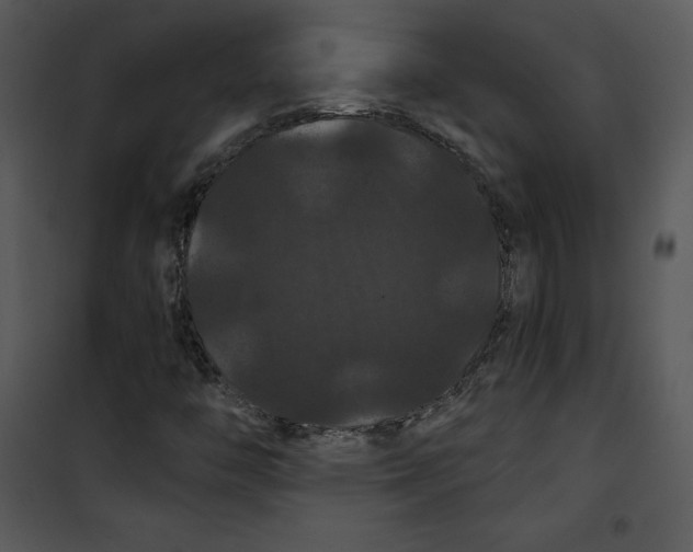 X0000100891446200807220940