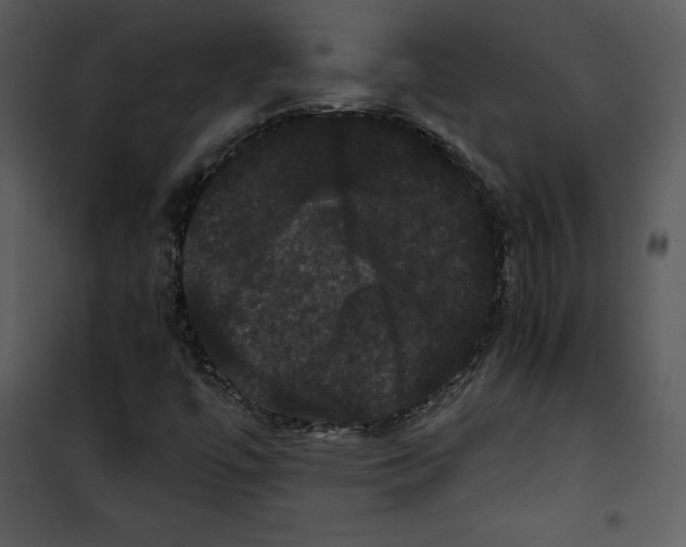 X0000100891447200807220940