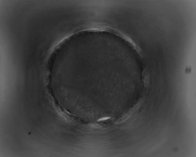 X0000100891448200807220940