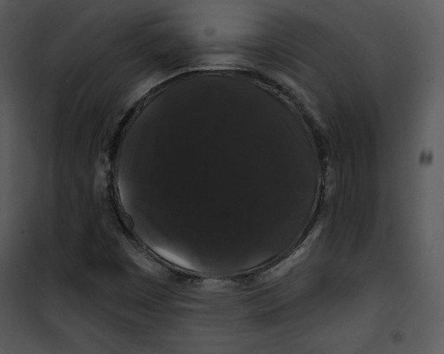 X0000100891449200807220940