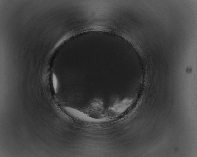 X0000100891450200807220940