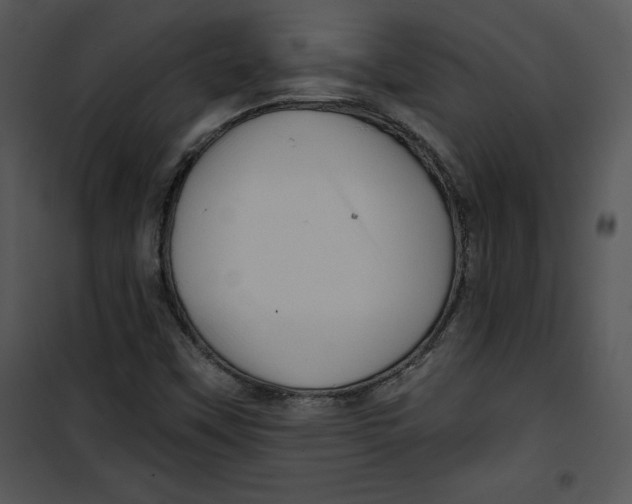 X0000100891451200807220940