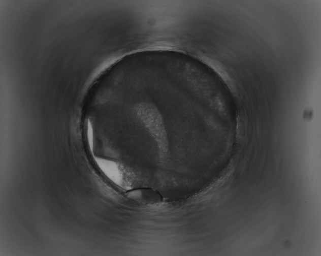 X0000100891452200807220940