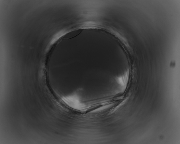 X0000100891453200807220940