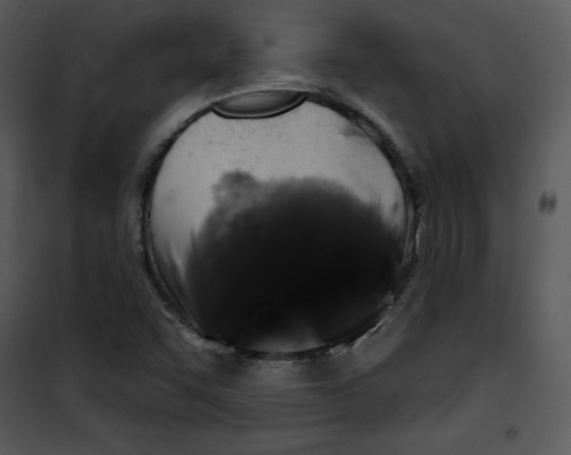 X0000100891455200807220940