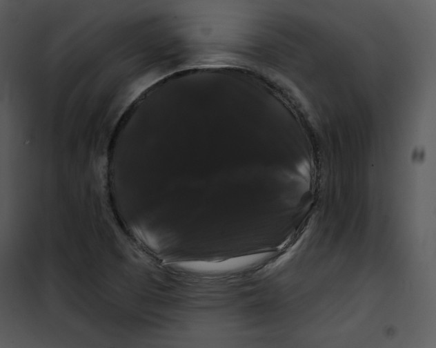 X0000100891457200807220940