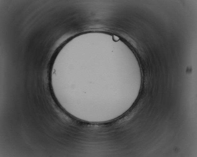 X0000100891458200807220940