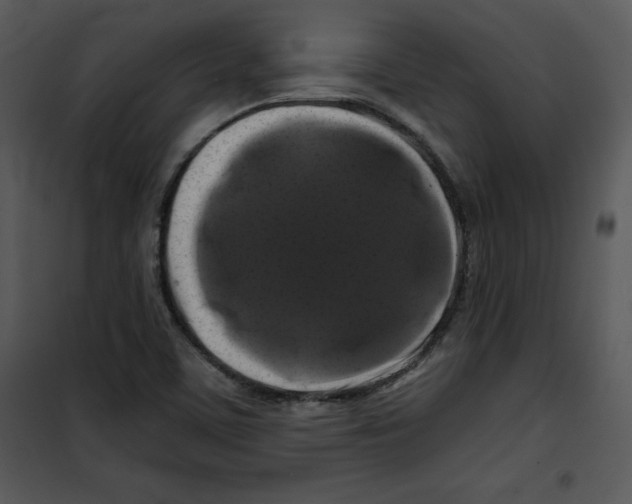 X0000100891459200807220940