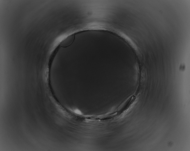 X0000100891461200807220940